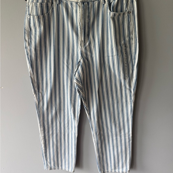 American Eagle Outfitters Denim - American Eagle Blue High Waisted 18L Mom Jeans